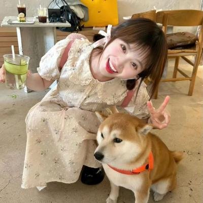 郎才妾貌