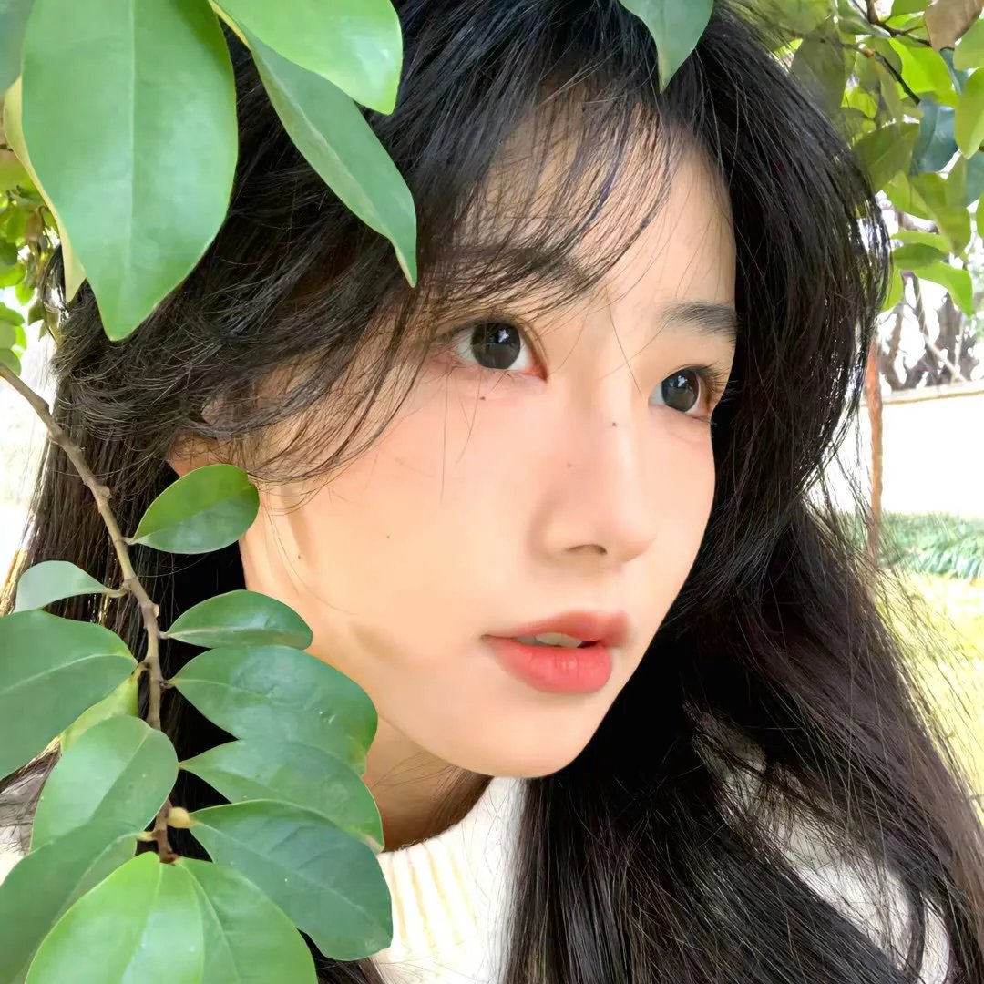 流浪的心